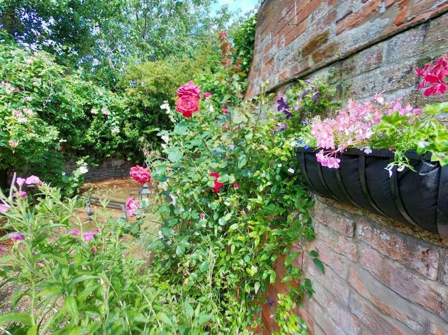 Rose Cottage, 2 Bedroom With Character, Near Southwold * Wrentham